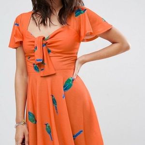 Parrot skater dress